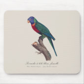 Perruche a tete bleue, femelle / Rainbow lorikeet, Mousepad (Vorne)