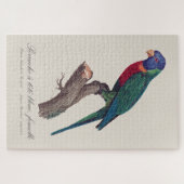 Perruche a tete bleue, femelle / Rainbow lorikeet, Puzzle (Horizontal)