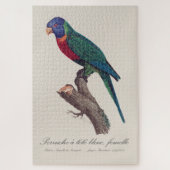 Perruche a tete bleue, femelle / Rainbow lorikeet, Puzzle (Vertikal)