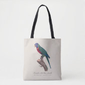 Perruche a tete bleue, femelle / Rainbow lorikeet, Tasche (Vorderseite)