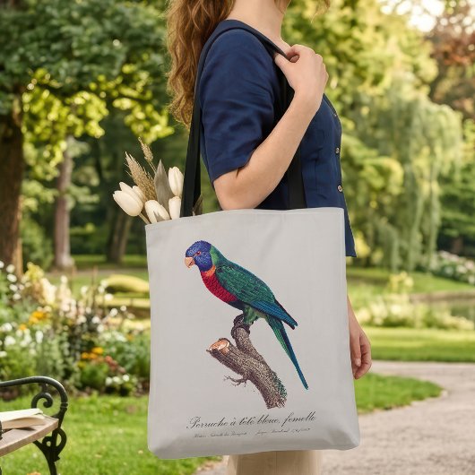 Perruche a tete bleue, femelle / Rainbow lorikeet, Tasche
