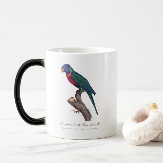 Perruche a tete bleue, femelle / Rainbow lorikeet, Verwandlungstasse (Mit Donut)
