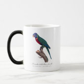 Perruche a tete bleue, femelle / Rainbow lorikeet, Verwandlungstasse (Links)