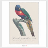 Perruche a tete bleue / Rainbow lorikee Aufkleber (Blatt)