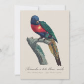 Perruche a tete bleue / Rainbow lorikee Dankeskarte (Vorderseite)
