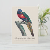 Perruche a tete bleue / Rainbow lorikee Dankeskarte (Stehend Vorderseite)