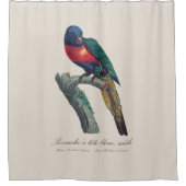 Perruche a tete bleue / Rainbow lorikee Duschvorhang (Vorderseite)