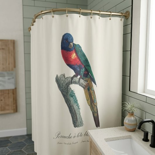Perruche a tete bleue / Rainbow lorikee Duschvorhang