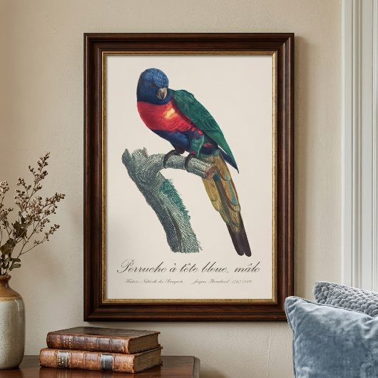 Perruche a tete bleue / Rainbow lorikee Fotodruck