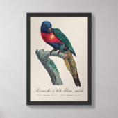 Perruche a tete bleue / Rainbow lorikee Fotodruck