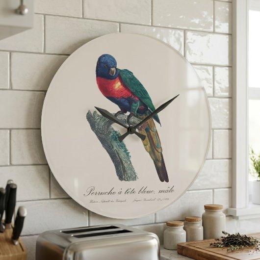 Perruche a tete bleue / Rainbow lorikee Große Wanduhr