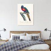Perruche a tete bleue / Rainbow lorikee Leinwanddruck (Insitu (Schlafzimmer))