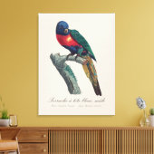 Perruche a tete bleue / Rainbow lorikee Leinwanddruck (Insitu (Wohnzimmer))