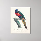 Perruche a tete bleue / Rainbow lorikee Leinwanddruck (Vorderseite)