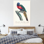 Perruche a tete bleue / Rainbow lorikee Leinwanddruck (Insitu (Schlafzimmer))