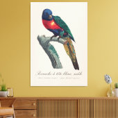 Perruche a tete bleue / Rainbow lorikee Leinwanddruck (Insitu (Wohnzimmer))