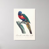 Perruche a tete bleue / Rainbow lorikee Leinwanddruck (Vorderseite)