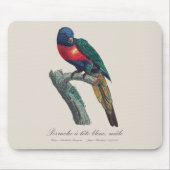 Perruche a tete bleue / Rainbow lorikee Mousepad (Vorne)