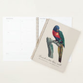 Perruche a tete bleue / Rainbow lorikee Planer (Anzeige)