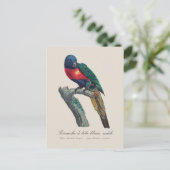 Perruche a tete bleue / Rainbow lorikee Postkarte (Stehend Vorderseite)