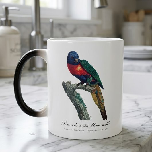 Perruche a tete bleue / Rainbow lorikee Verwandlungstasse