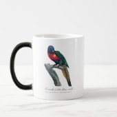 Perruche a tete bleue / Rainbow lorikee Verwandlungstasse (Links)