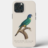 Perruche a tete bleue / Rainbow lorikeet, juvenil Case-Mate iPhone Hülle (Rückseite)