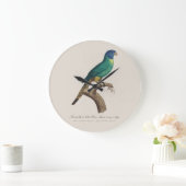 Perruche a tete bleue / Rainbow lorikeet, juvenil Große Wanduhr (Zuhause)