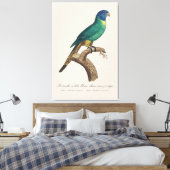 Perruche a tete bleue / Rainbow lorikeet, juvenil Leinwanddruck (Insitu (Schlafzimmer))