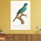 Perruche a tete bleue / Rainbow lorikeet, juvenil Leinwanddruck (Insitu (Wohnzimmer))