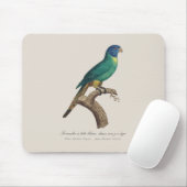 Perruche a tete bleue / Rainbow lorikeet, juvenil Mousepad (Mit Mouse)