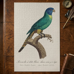 Perruche a tete bleue / Rainbow lorikeet, juvenil Puzzle