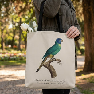 Perruche a tete bleue / Rainbow lorikeet, juvenil Tasche