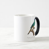 Perruche a tete bleue / Rainbow lorikeet, juvenil Verwandlungstasse (VorderseiteRechts)