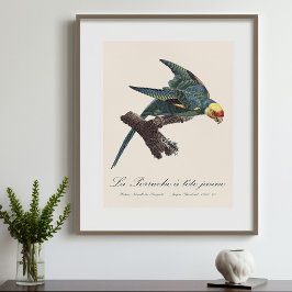 Perruche a Tete Jaune / Carolina parakeet Fotodruck