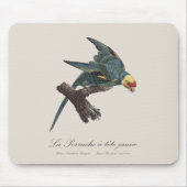 Perruche a Tete Jaune / Carolina parakeet Mousepad (Vorne)