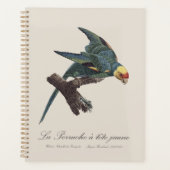 Perruche a Tete Jaune / Carolina parakeet Planer (Vorderseite)