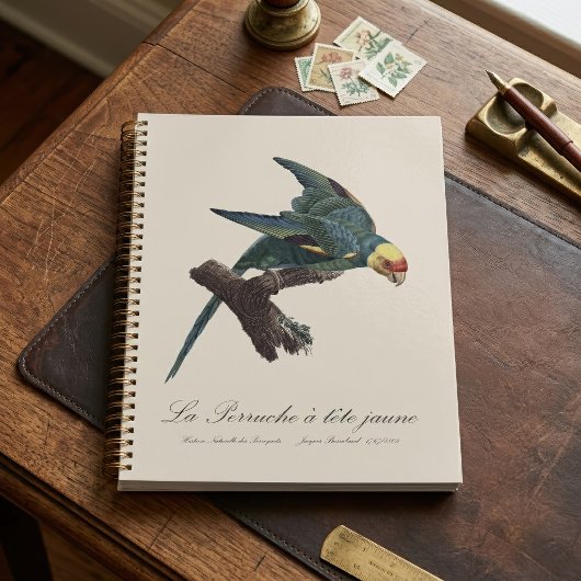 Perruche a Tete Jaune / Carolina parakeet Planer