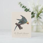 Perruche a Tete Jaune / Carolina parakeet Postkarte (Stehend Vorderseite)