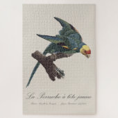Perruche a Tete Jaune / Carolina parakeet Puzzle (Vertikal)