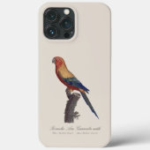 Perruche Ara, Guarouba / Sonnenparaket Case-Mate iPhone Hülle (Rückseite)