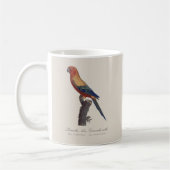 Perruche Ara, Guarouba / Sonnenparaket Kaffeetasse (Links)