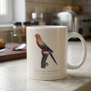 Perruche Ara, Guarouba / Sonnenparaket Kaffeetasse