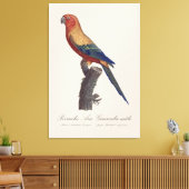 Perruche Ara, Guarouba / Sonnenparaket Leinwanddruck (Insitu (Wohnzimmer))