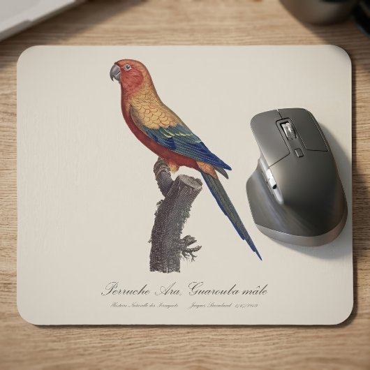 Perruche Ara, Guarouba / Sonnenparaket Mousepad