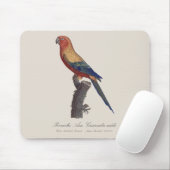 Perruche Ara, Guarouba / Sonnenparaket Mousepad (Mit Mouse)