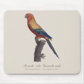 Perruche Ara, Guarouba / Sonnenparaket Mousepad (Vorne)