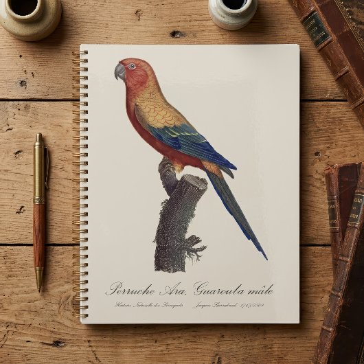 Perruche Ara, Guarouba / Sonnenparaket Planer