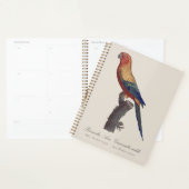 Perruche Ara, Guarouba / Sonnenparaket Planer (Anzeige)