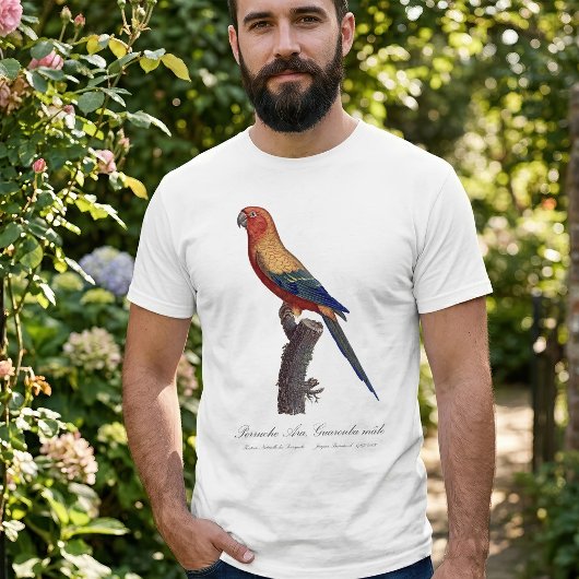 Perruche Ara, Guarouba / Sonnenparaket T-Shirt